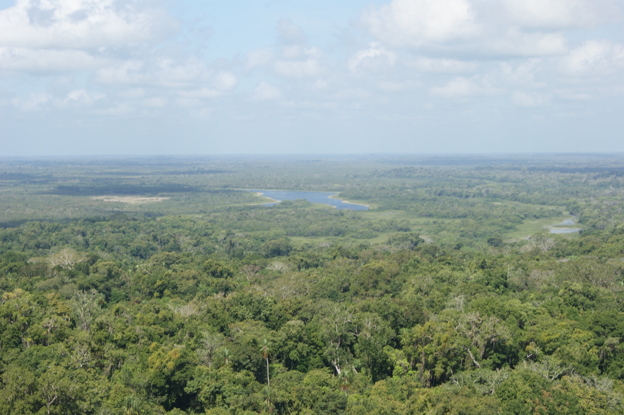 Selva del Parque Nacional Laguna del Tigre vista desde lo alto