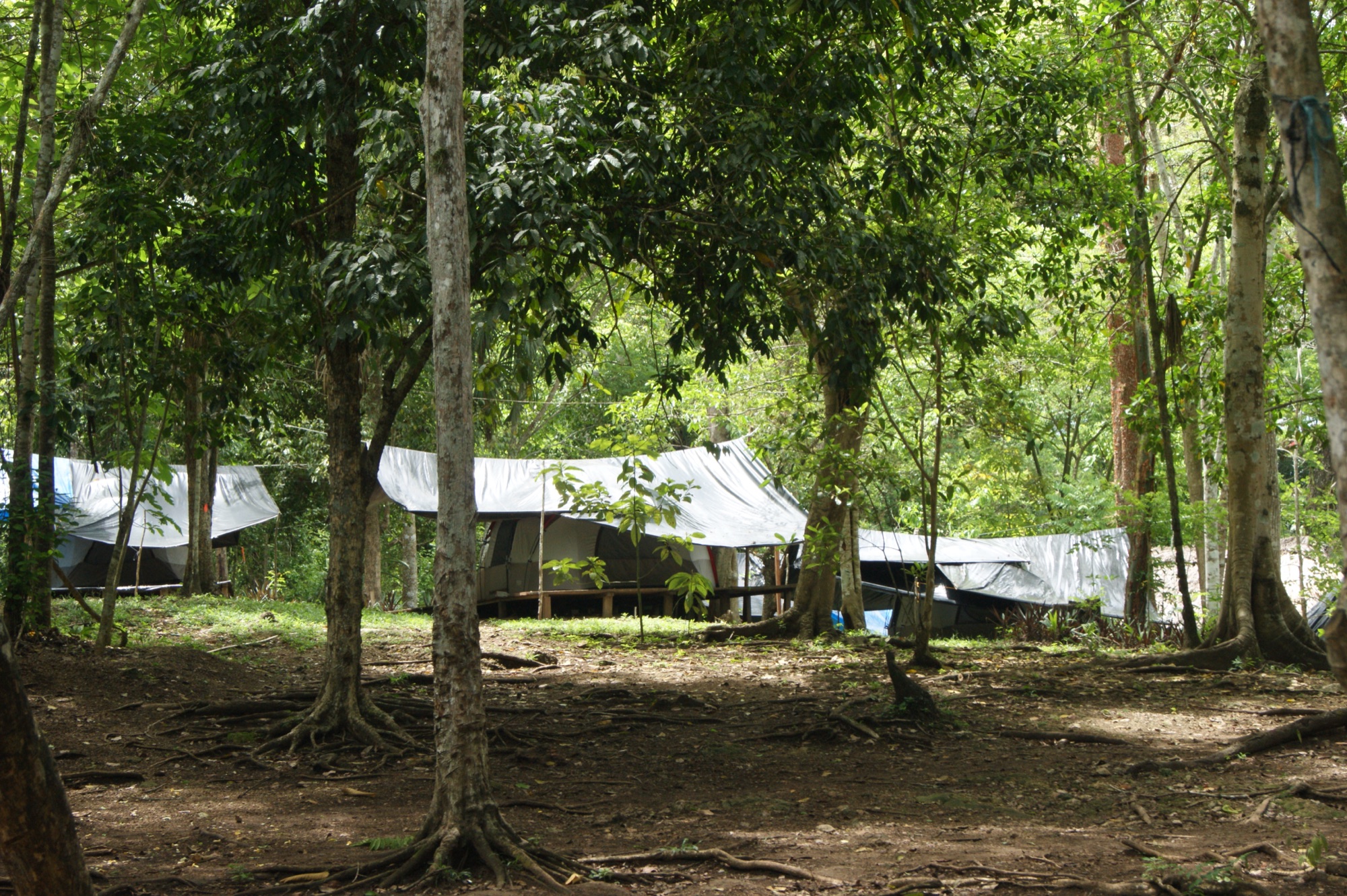 Campamento del proyecto en la selva